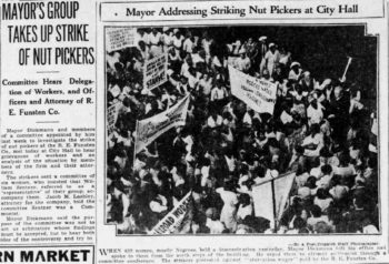 Clipping of an article on the Nut Picker Strike (1933). The article headline reads "Mayor's Group Takes Up Strike of Nut Pickers: Committee Hears Delegation of Workers and Officers and Attorney of R.E. Funsten Co."