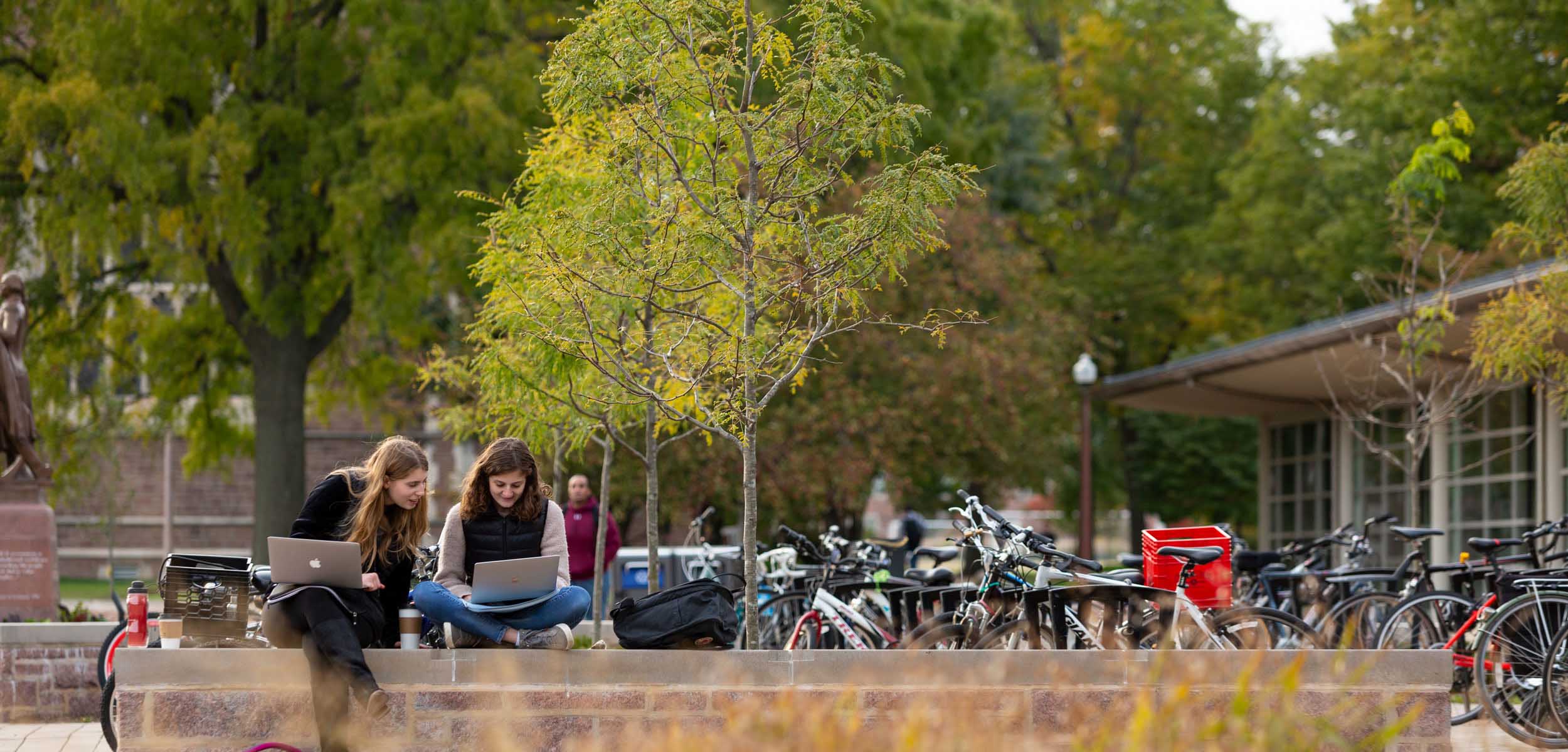 Students sitting outside on a stone retaining wall near the bike racks, each studying on their respective laptops.