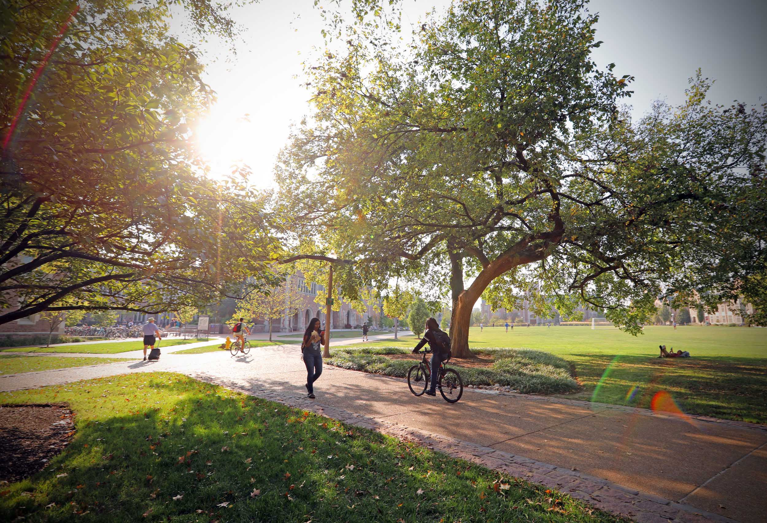 Students walking and biking on a campus path.