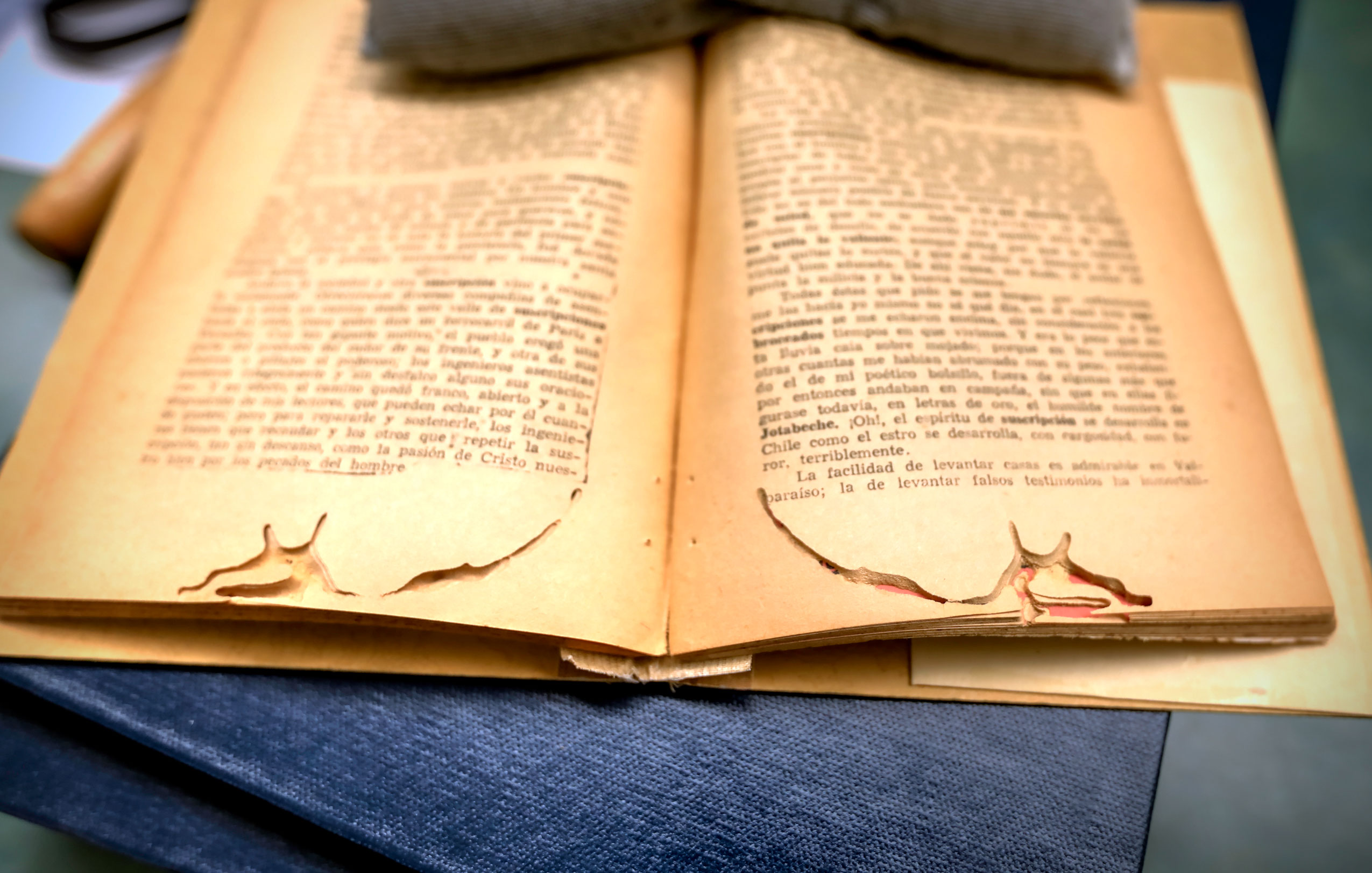 An example of damage done to the pages of a book by a beetle.