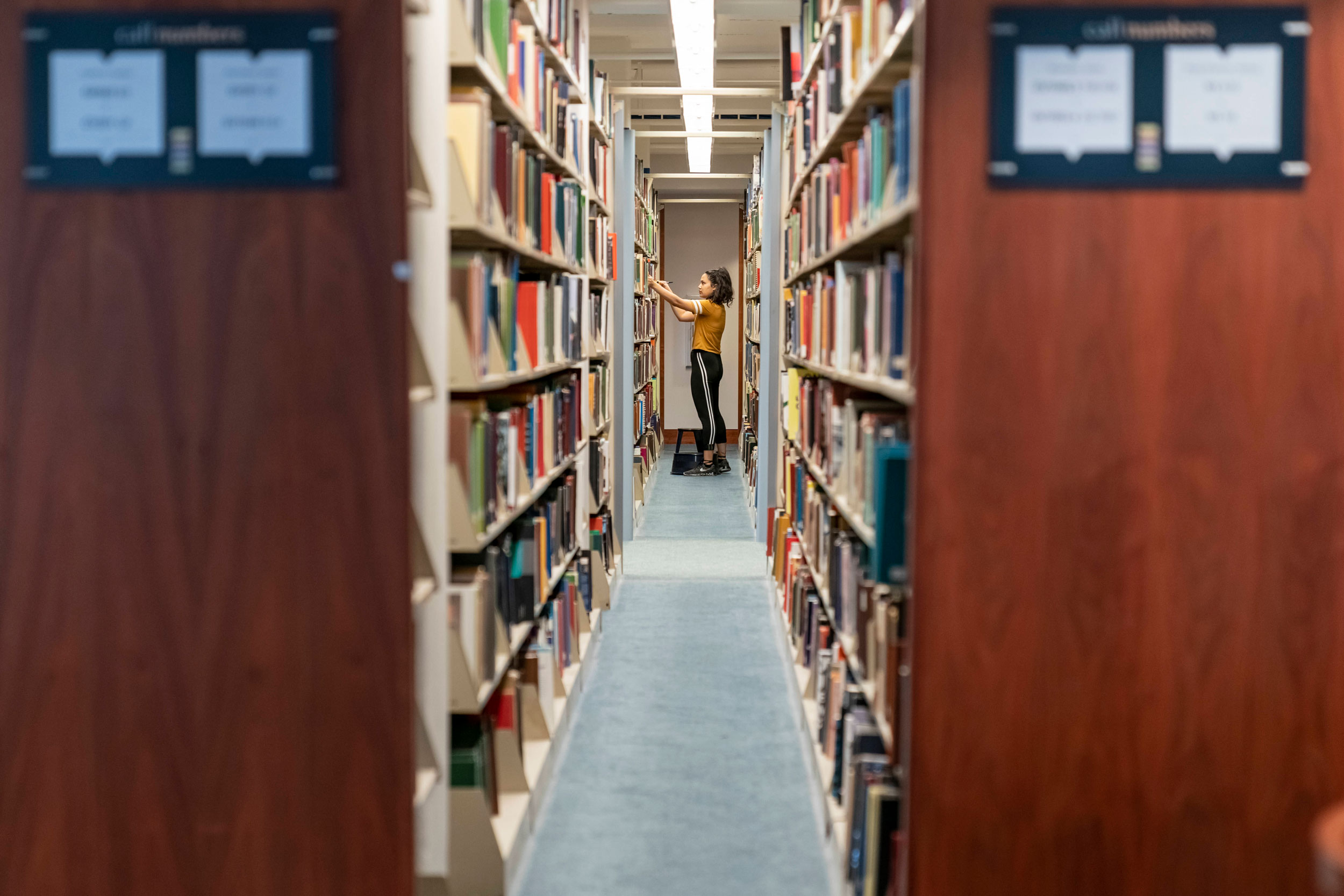 A student shelving books in the stacks.