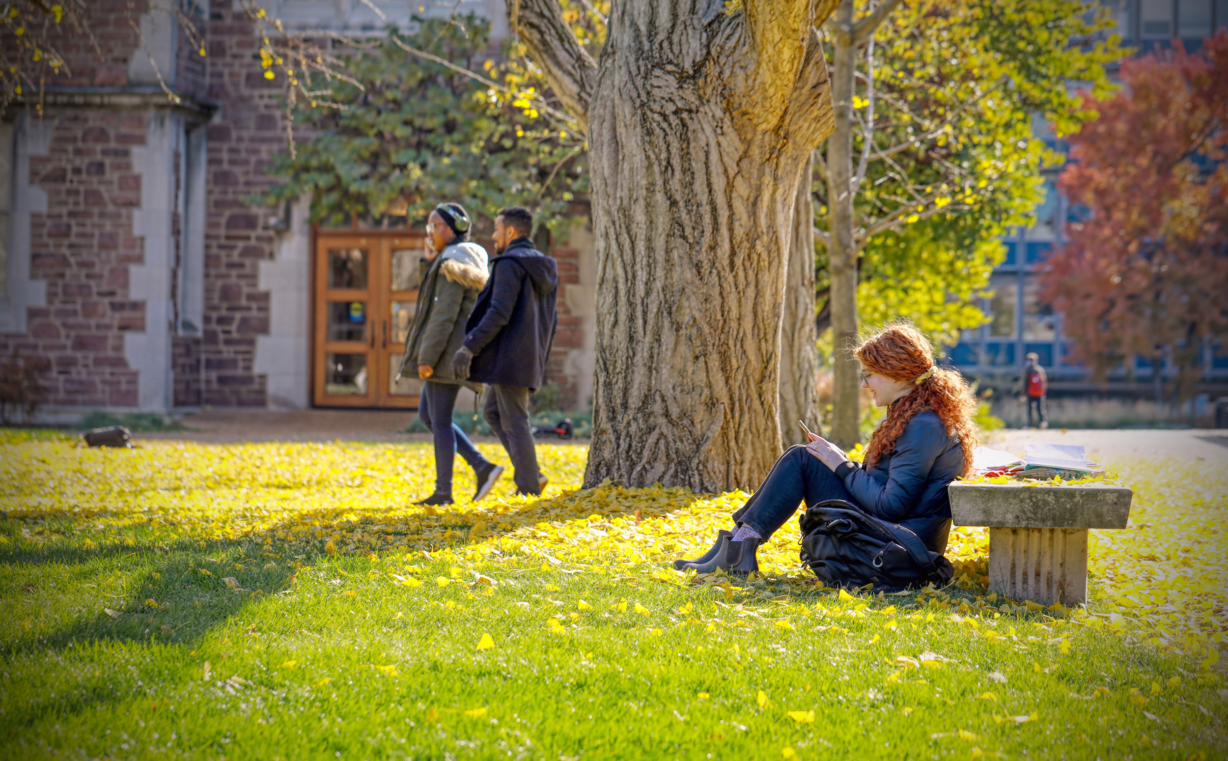 Descriptive photo of students enjoying the nature found on the campus quads.