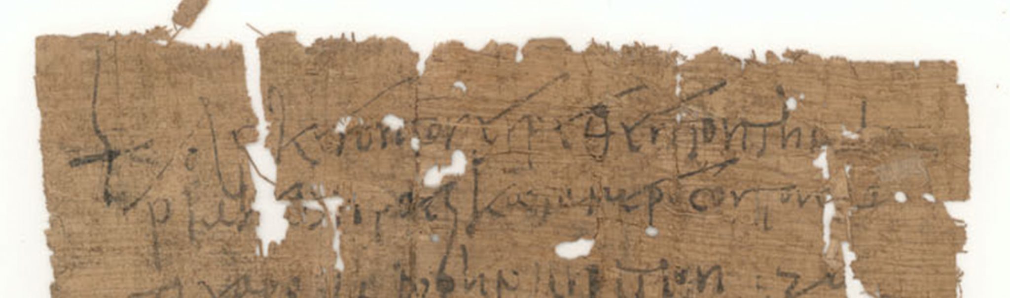 Special Collections - WashU Libraries