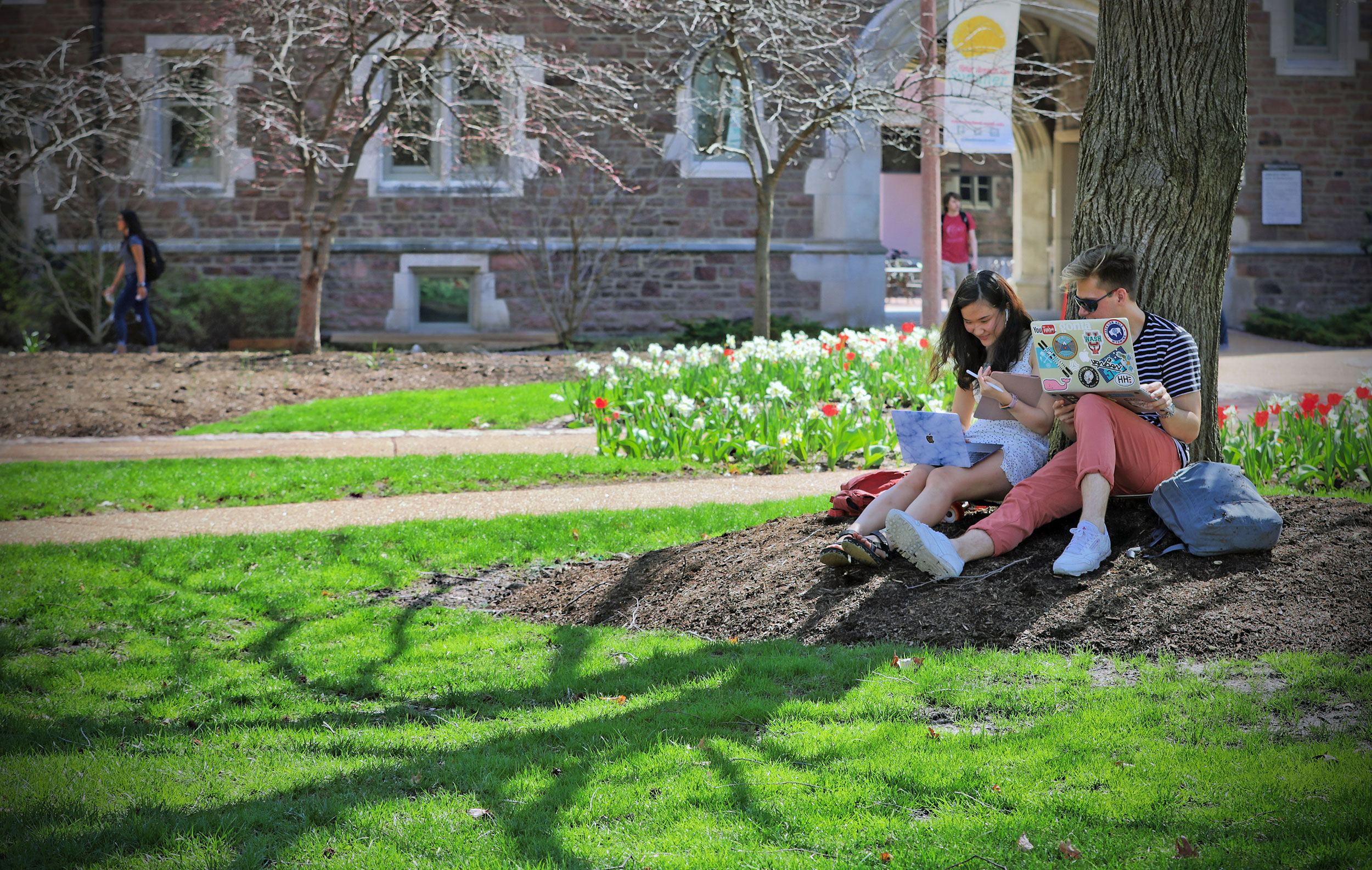 Two students studying with laptops beneath a tree on campus.