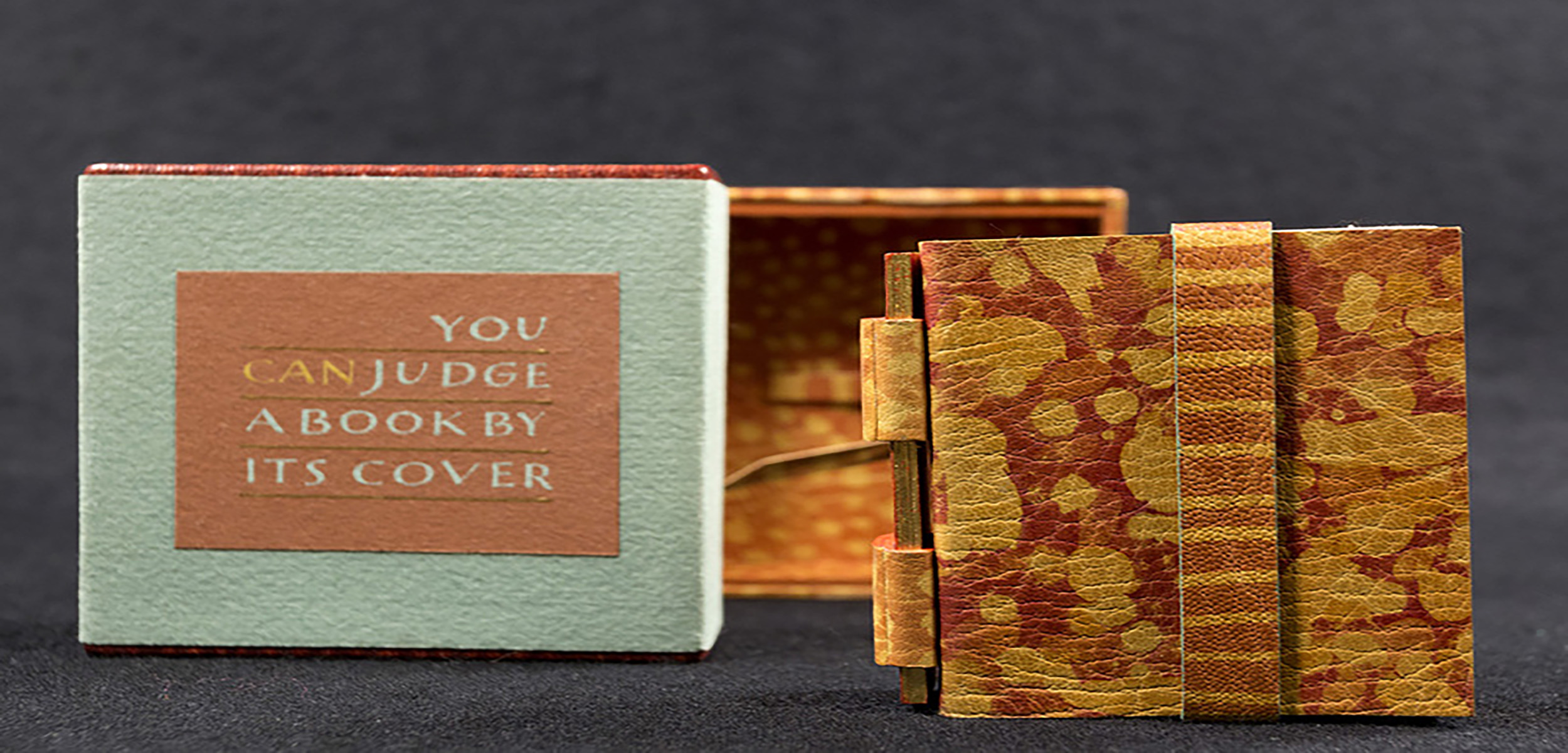 A close up image of the miniature book "You CAN Judge a Book by Its Cover." The book comes in a little case with a little box.