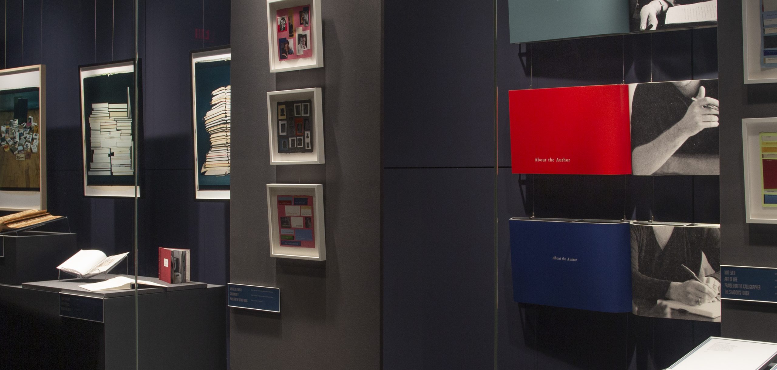 A photograph of an exhibition on display in the Thomas Gallery on Level 1 of Olin Library.