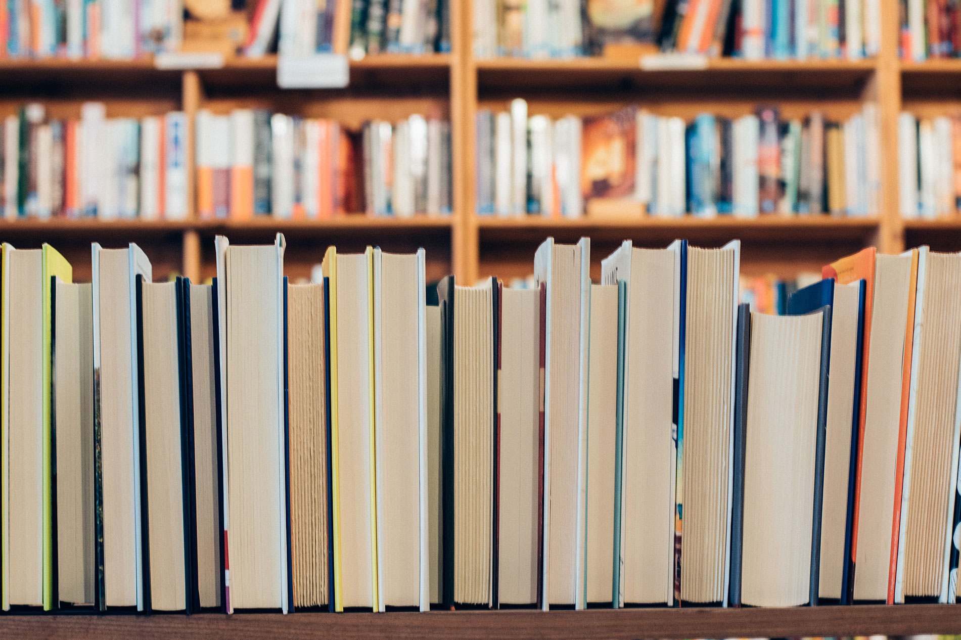 Books lined up in a row spine-in.