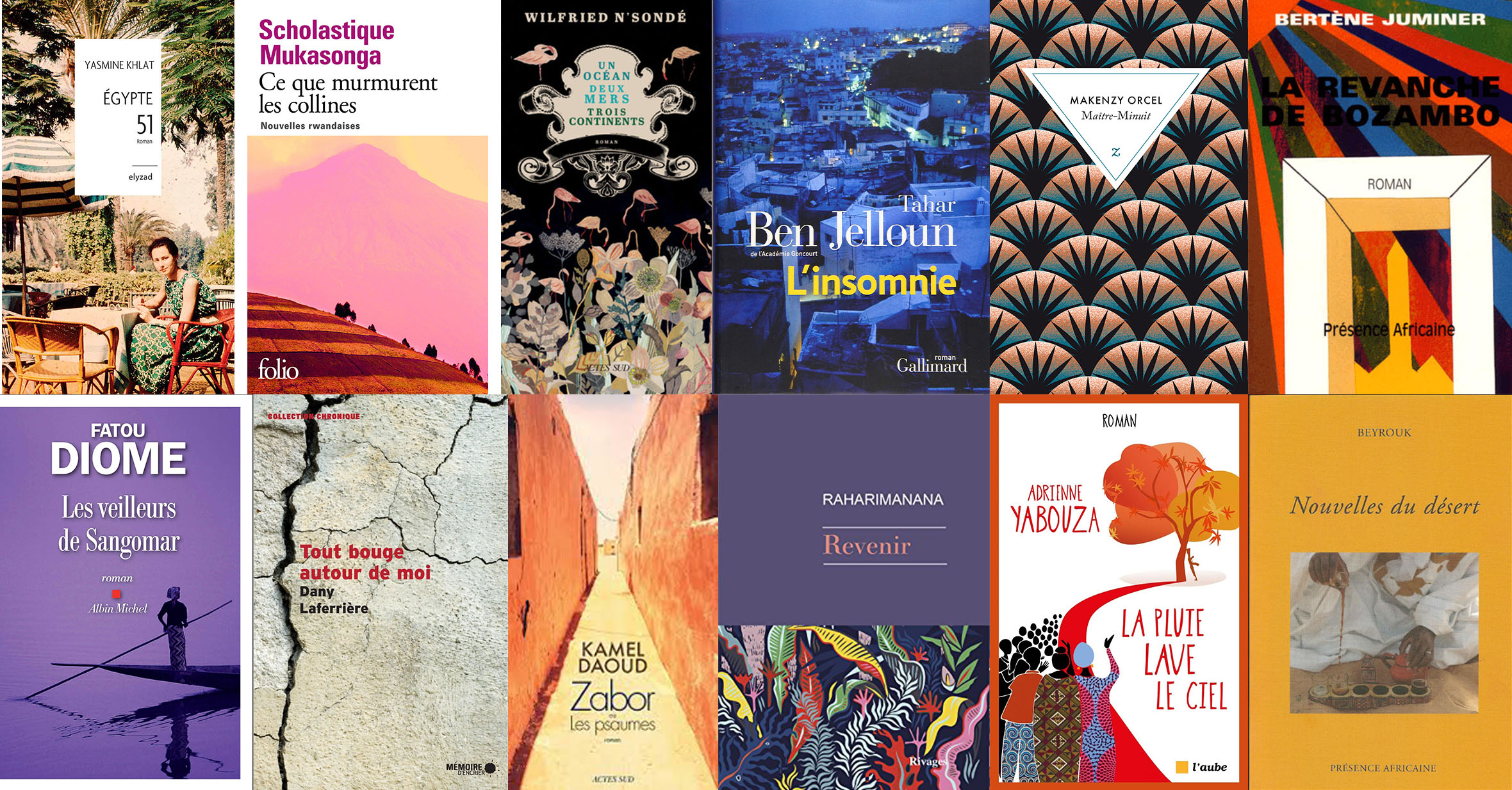 A collage of the various French language novels and short stories found within Francophone Voices.