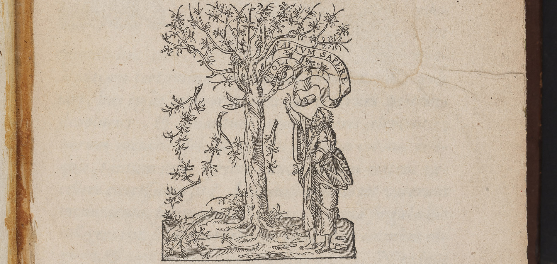 Image displays the yellowing title page of Pindar (1599). Text is written in Greek with an image of Pindar (Pindar was from Thebes and was one of the nine canonical lyric poets of ancient Greece) beneath an olive tree.