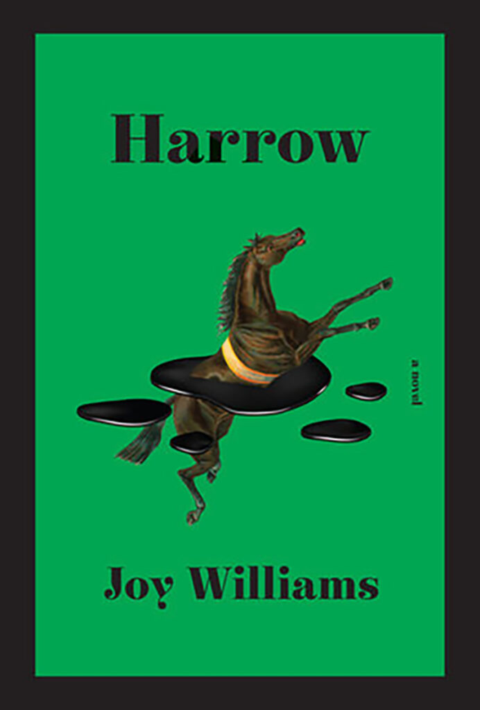 The cover art has a horse leaping through - up and out - a splash of ink.