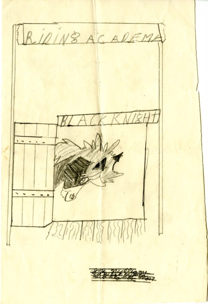 The child's drawing for "Pony's Surprise" has a horse peaking its head out of a barn door. The barn has a banner over it reading "Riding Academy" and the horse's stall has a name plate reading "Black Knight."