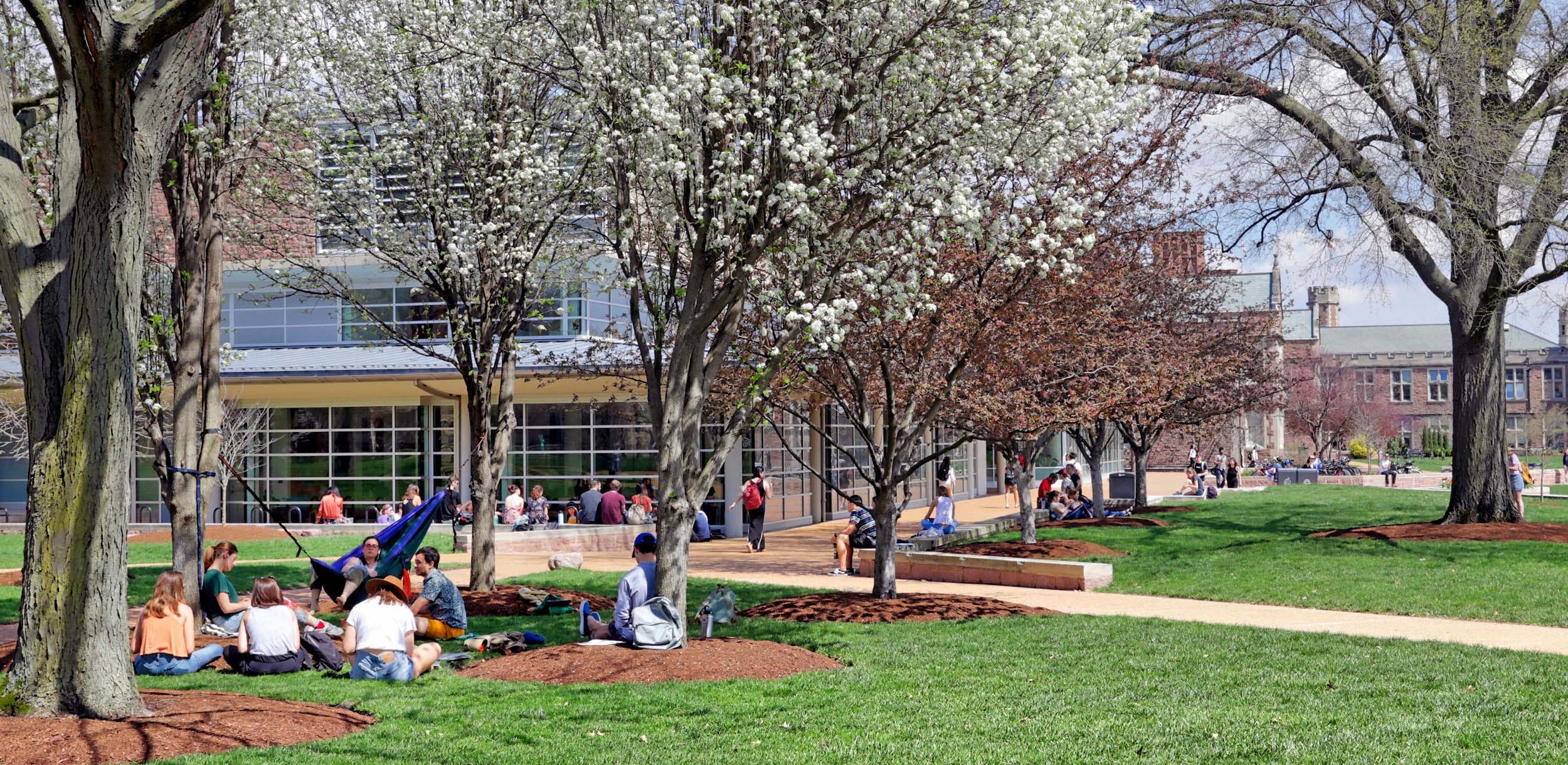 Students gathered in groups on the lawn around Olin Library.