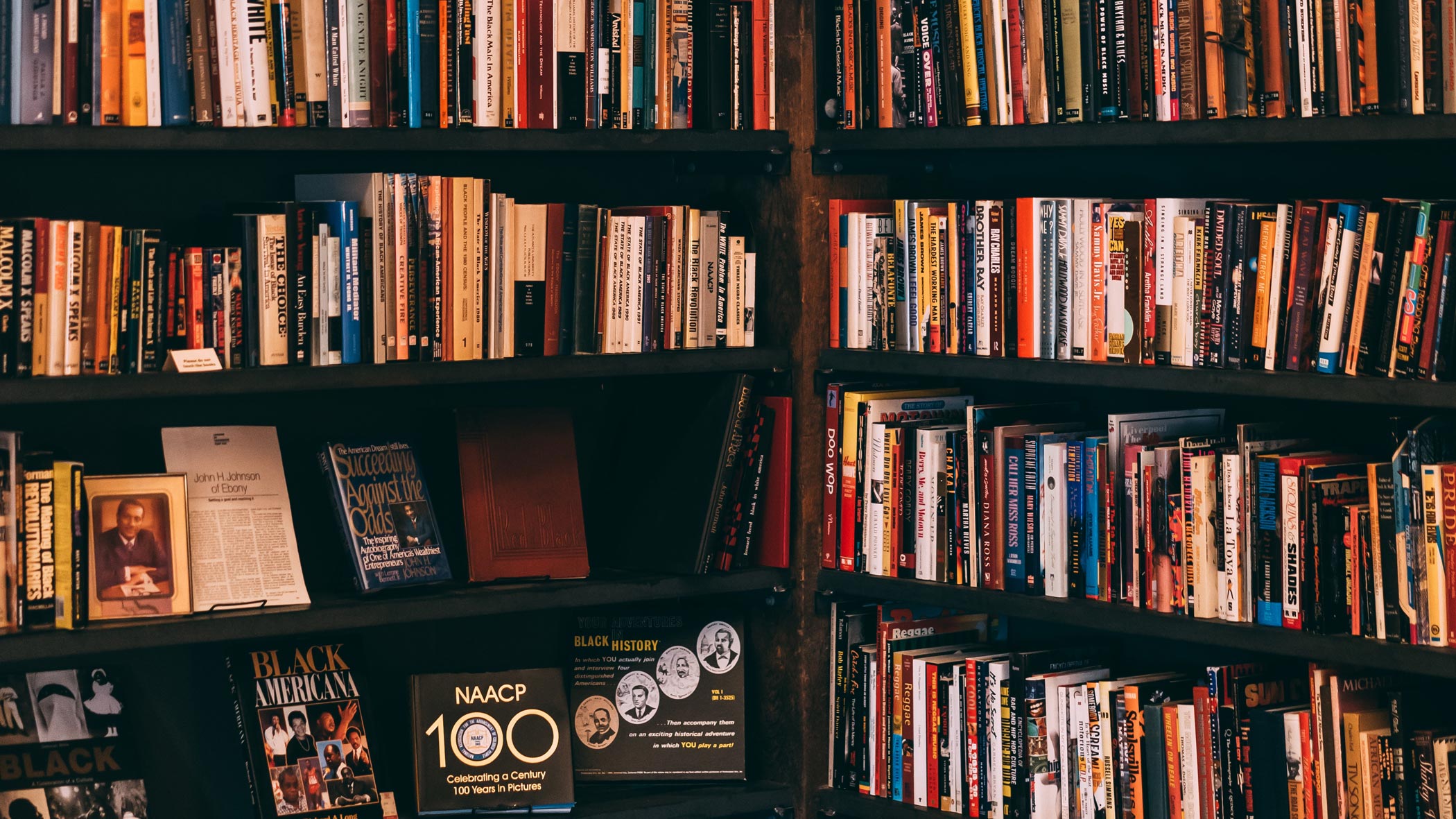 A filled bookshelf.