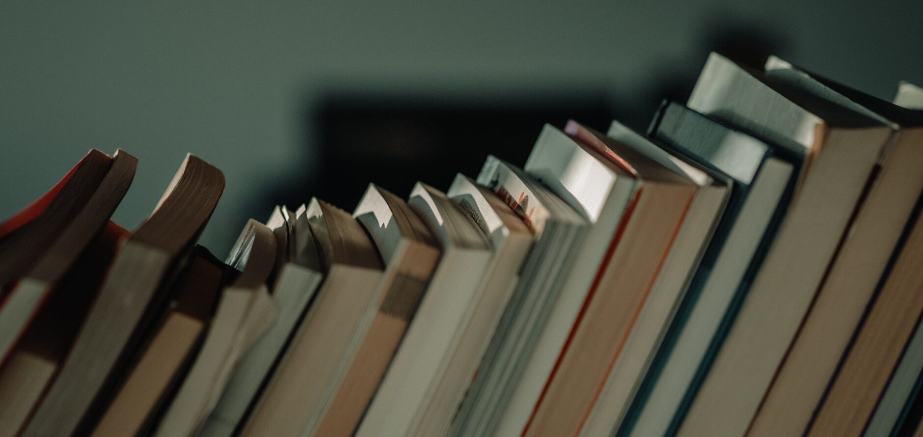 A row of books shelved spine-in.