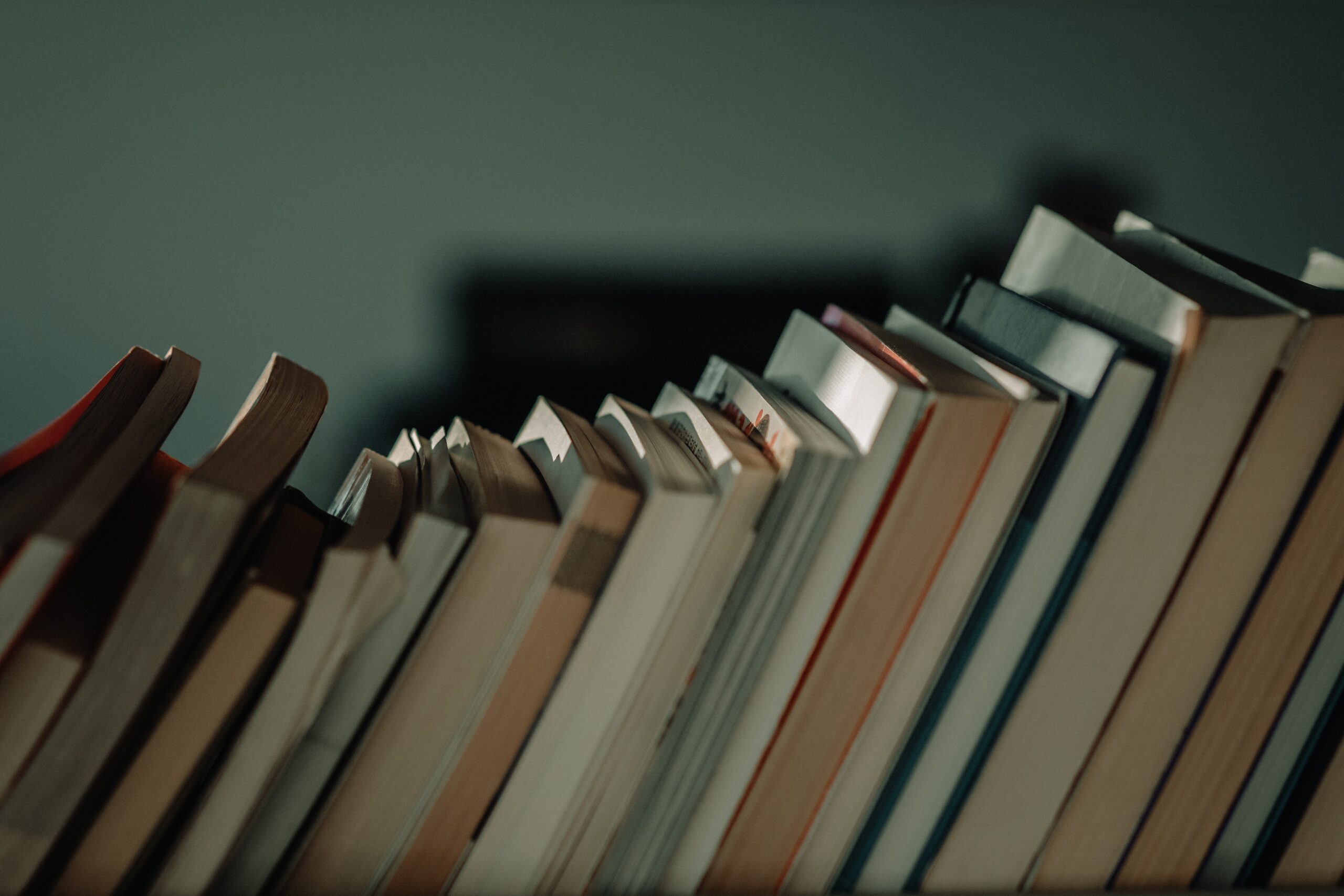 A row of books shelved spine-in.