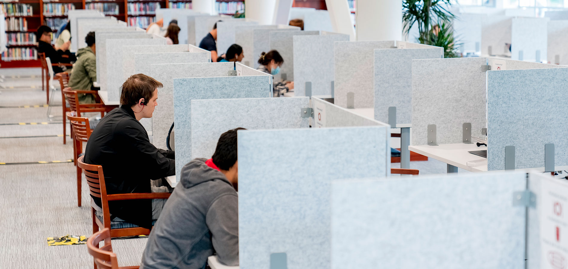 Students utalizing the study cubbies on Olin Library's first floor.