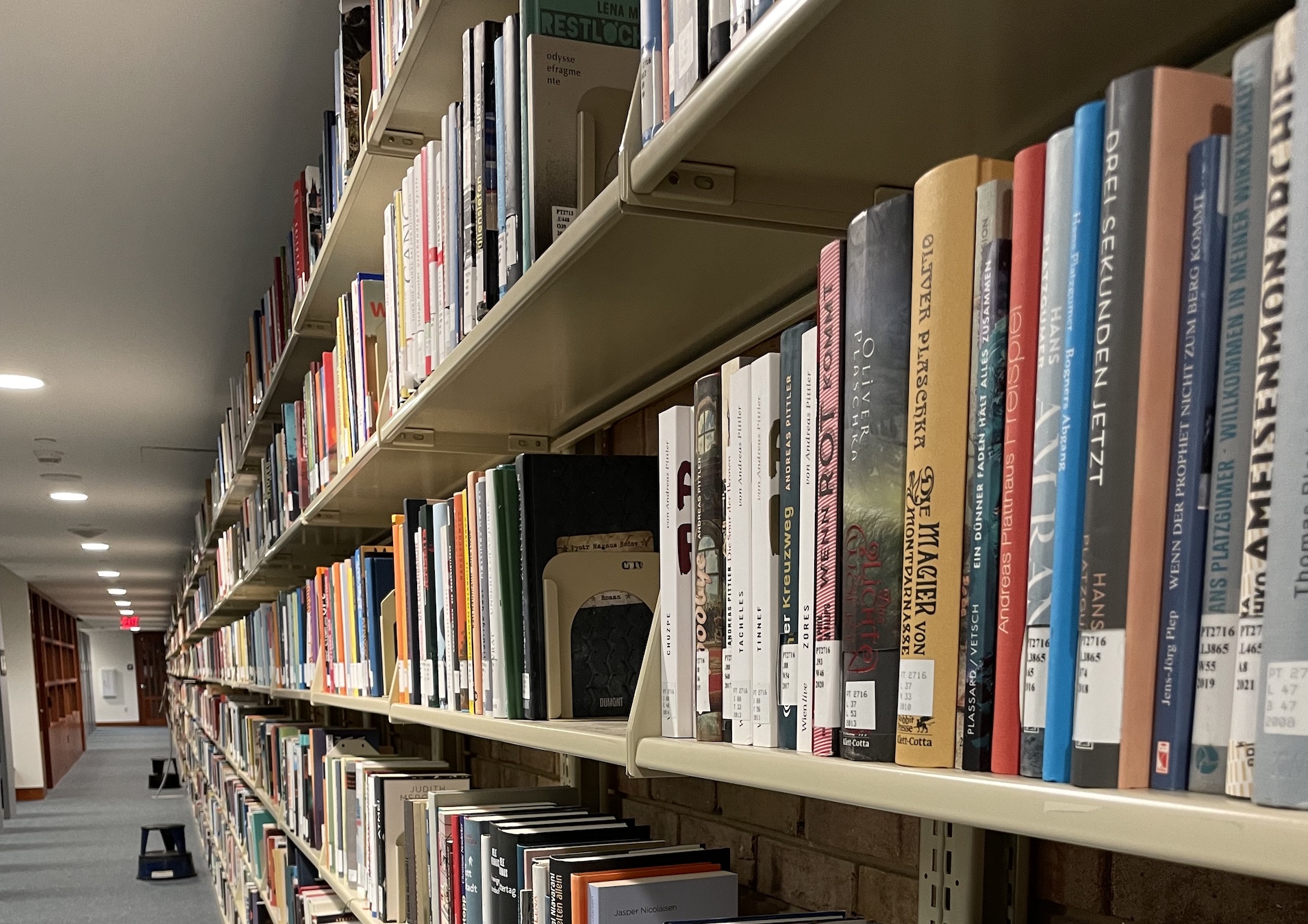 Shelves with books