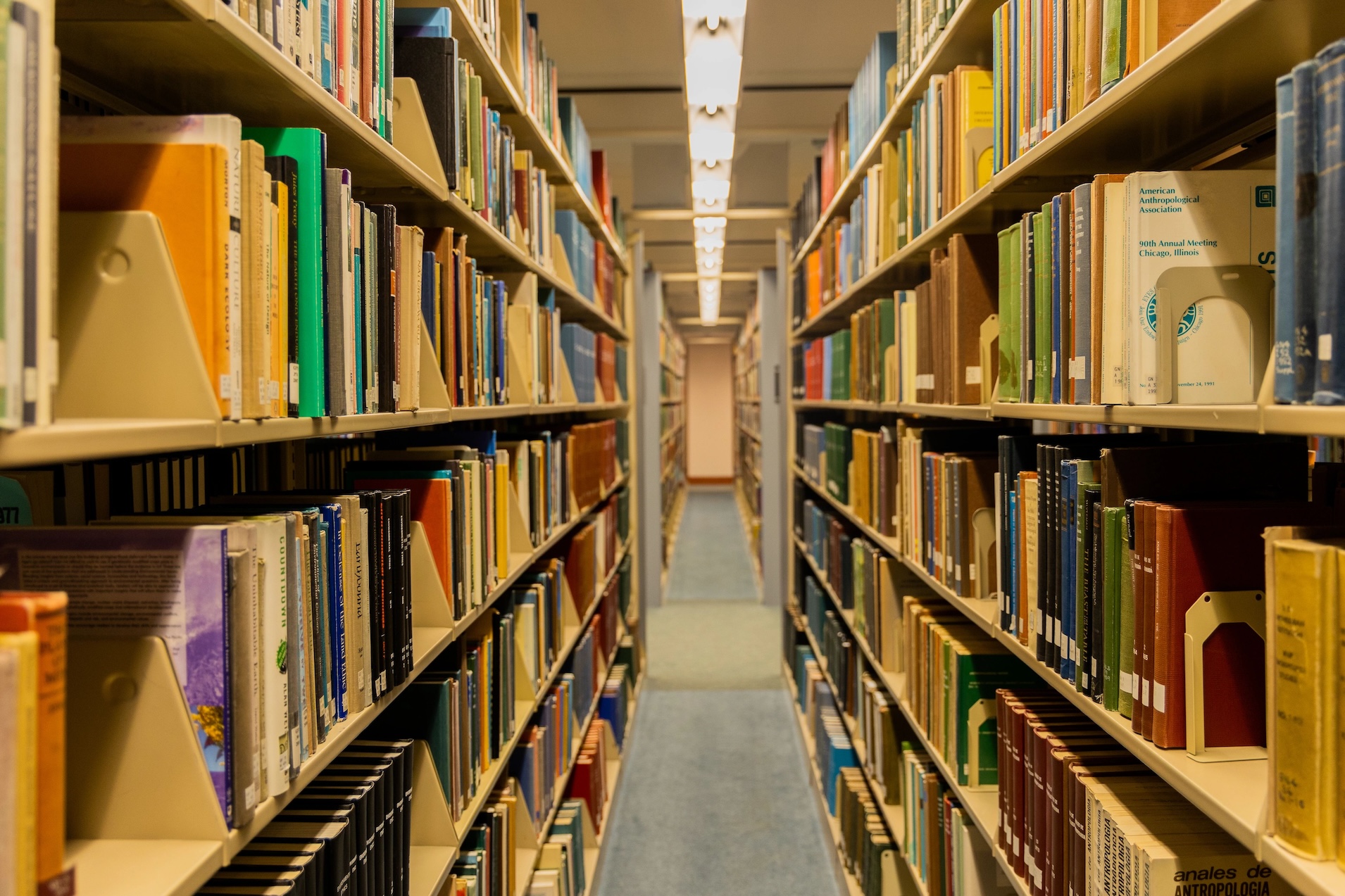 Book stacks in Olin Library