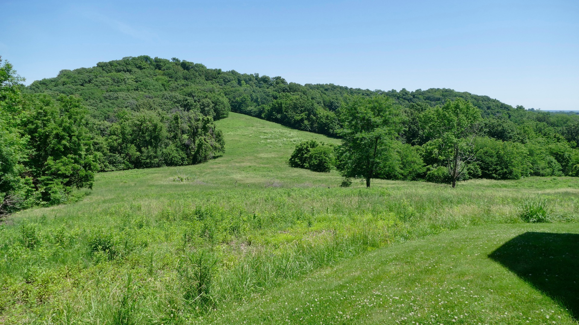 Missouri landscape of rolling hills, green grass