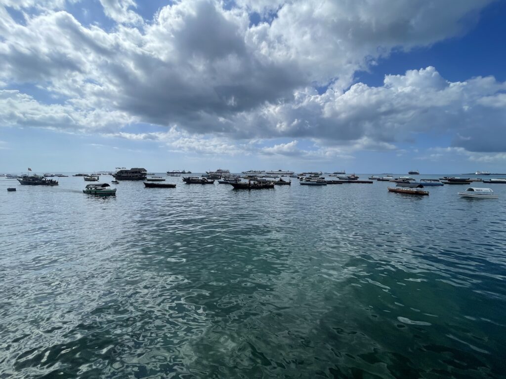 The sea in Zanzibar