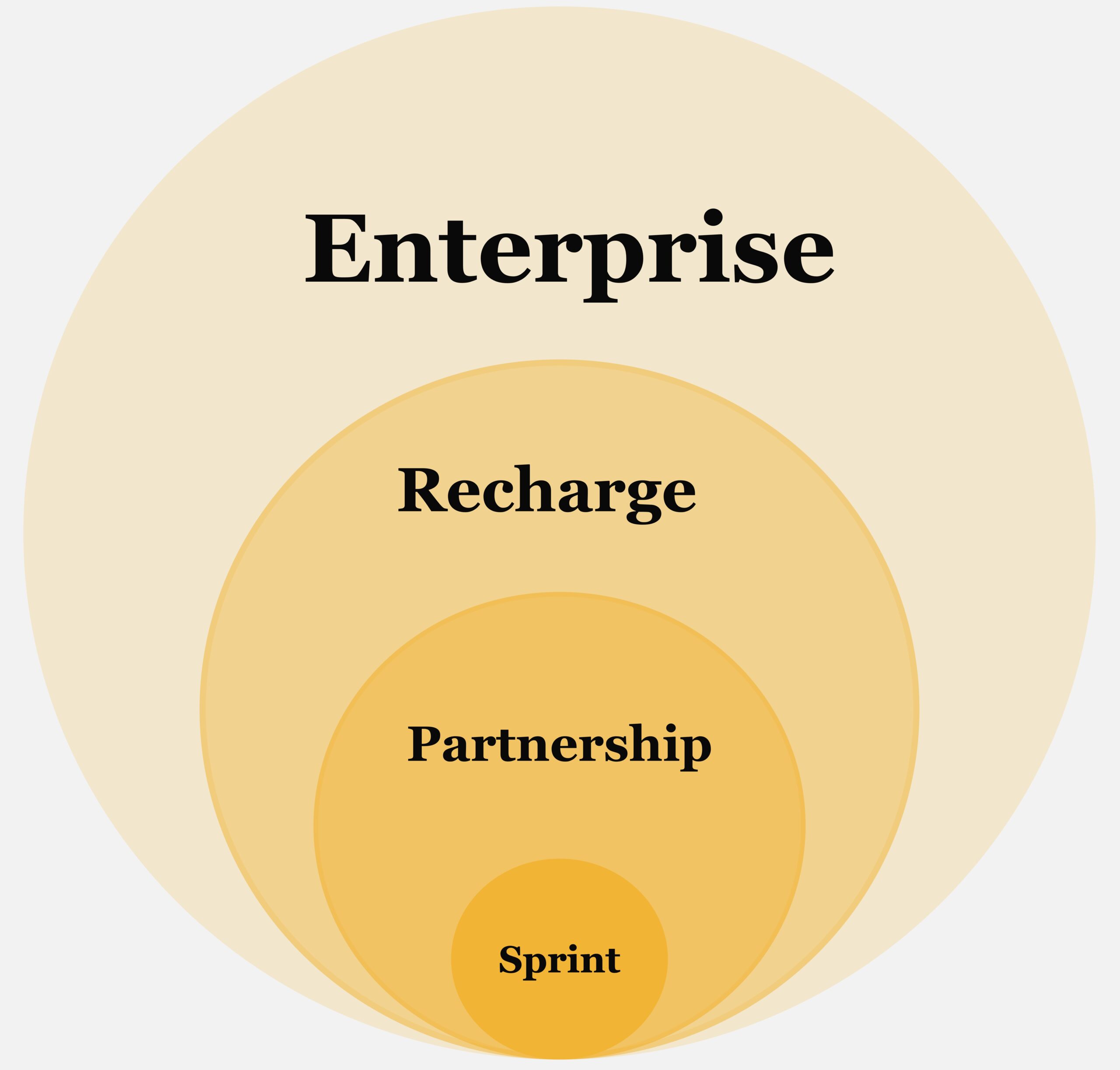 A diagram of the four tiers of service available through Data Services: Enterprise, Recharge, Partnership, and Sprint.