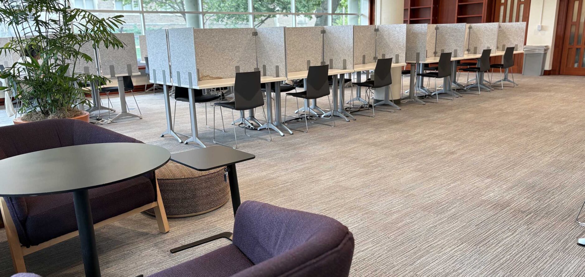 Study carrels available for solo study in the north west corner of Olin Library Level 1.