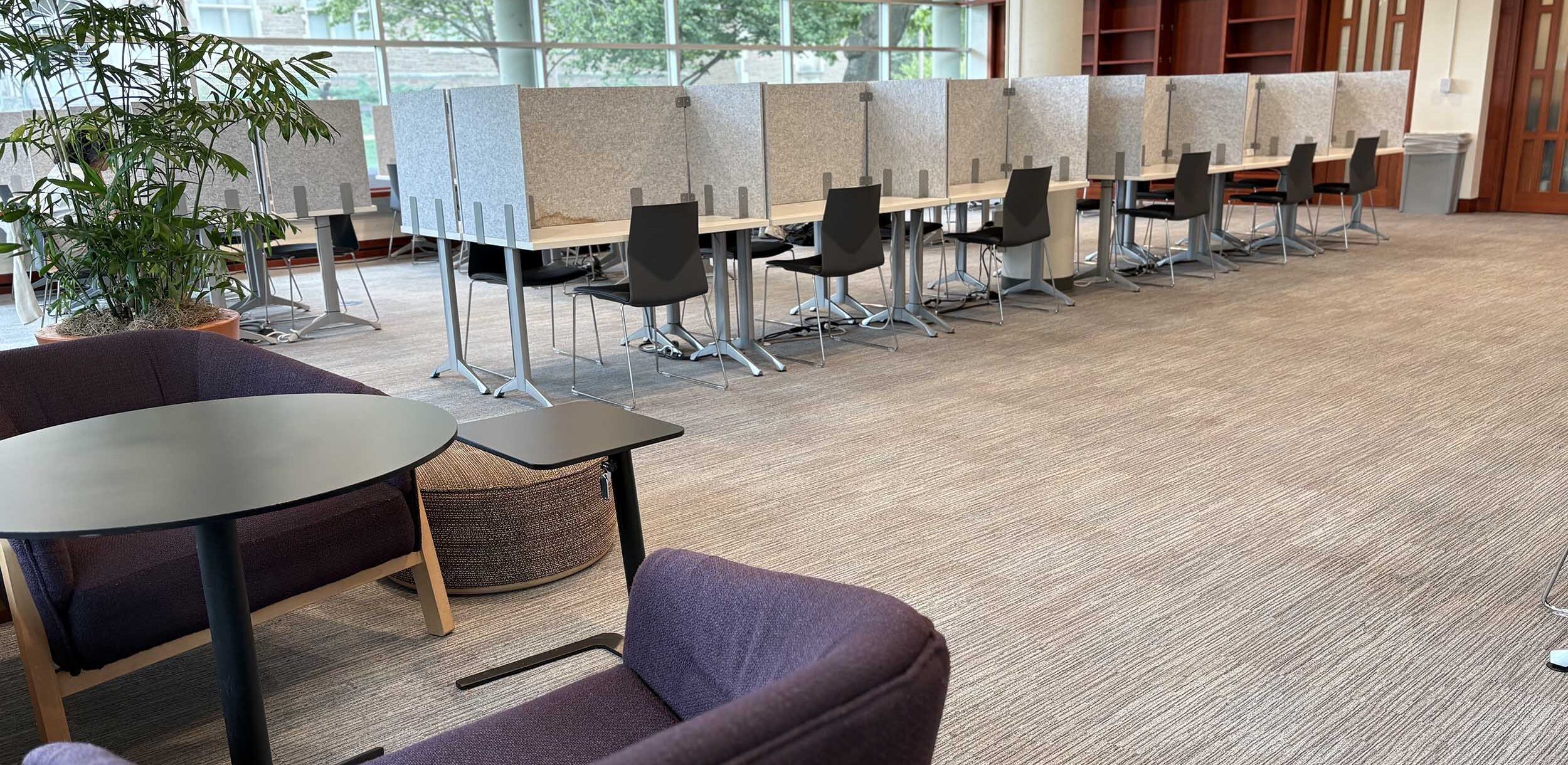 Study carrels available for solo study in the north west corner of Olin Library Level 1.