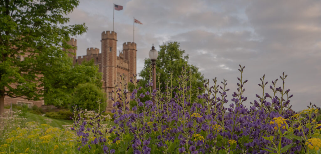 Brookings Hall at sunrise with blooming lilacs in the foreground.