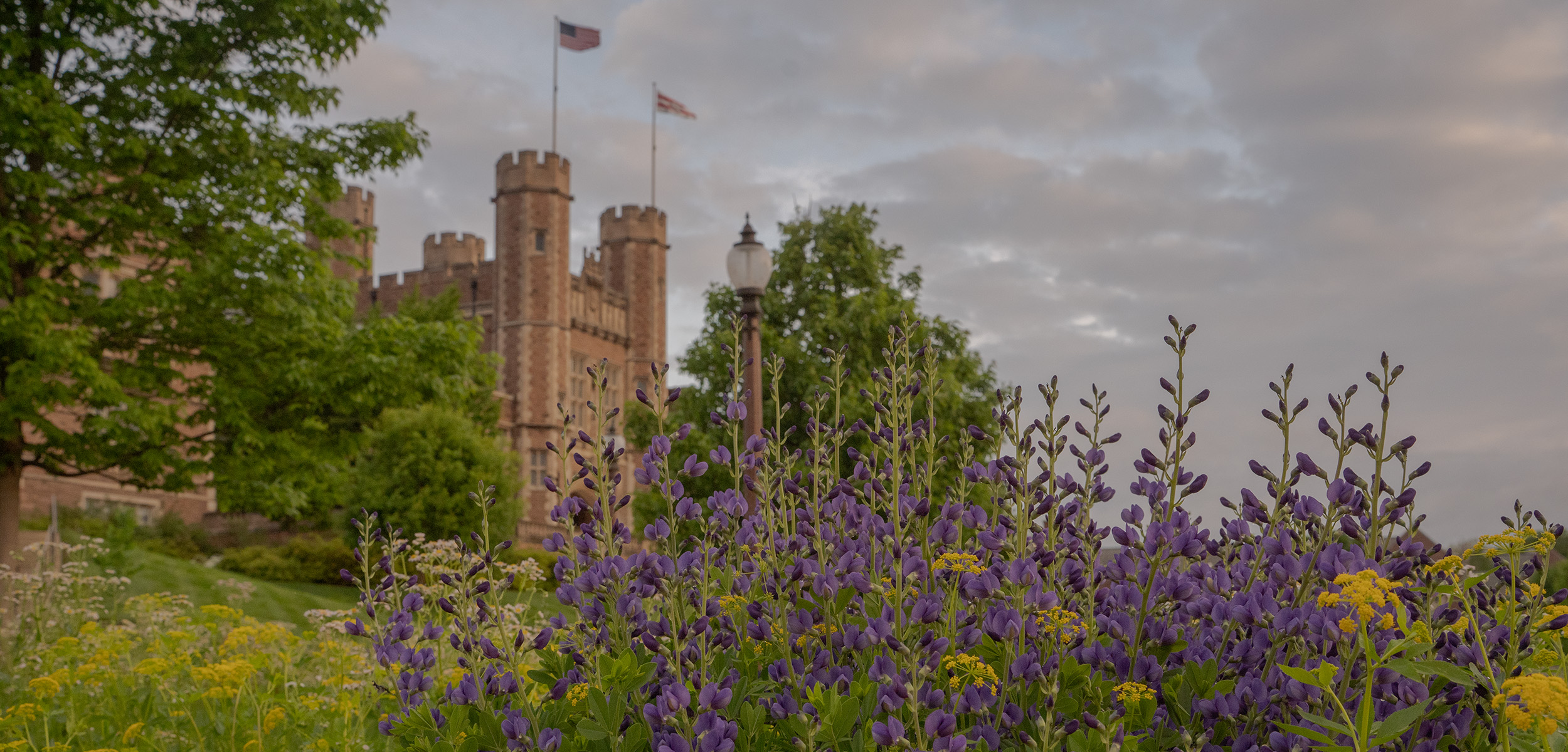 Brookings Hall at sunrise with blooming lilacs in the foreground.