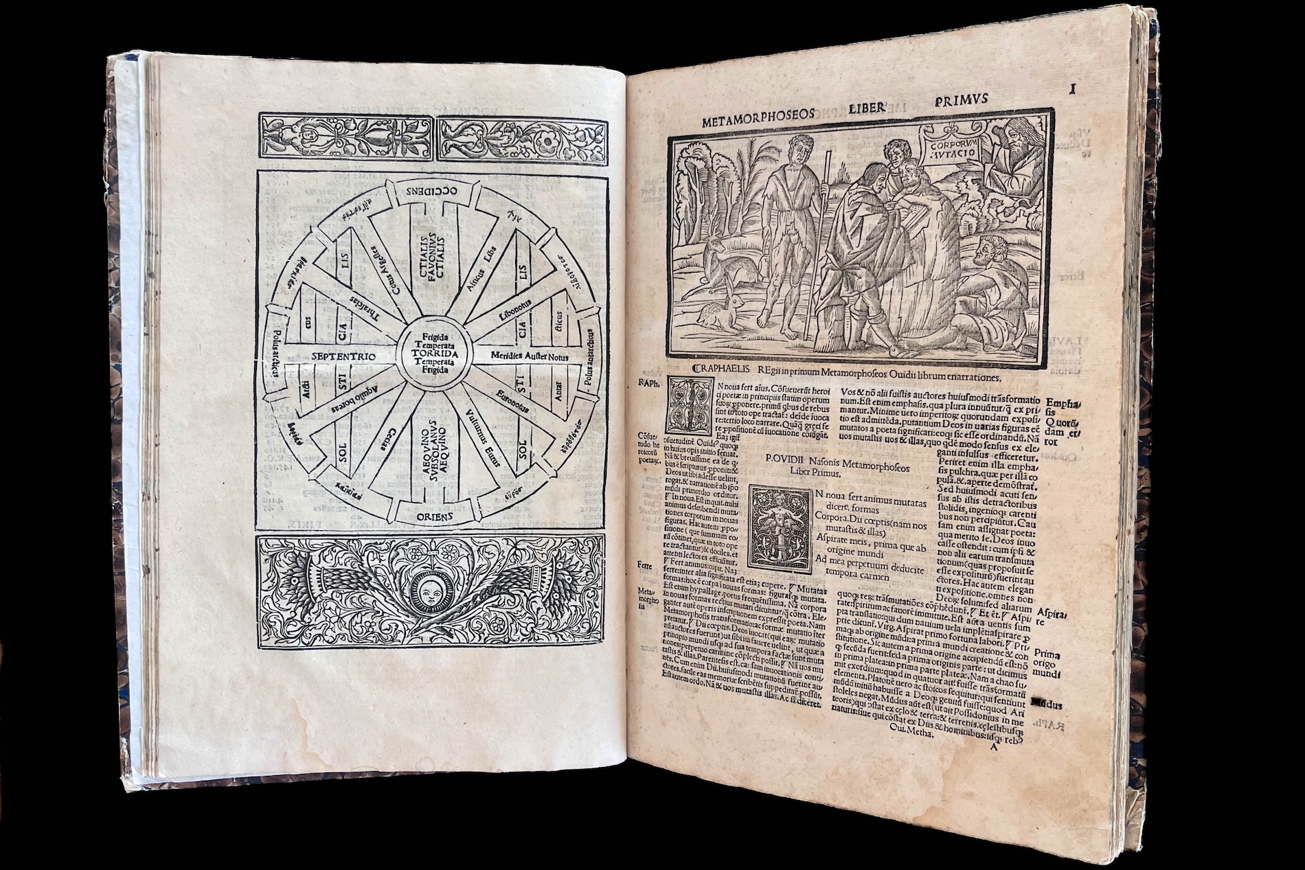 Ovid's Metamorphoses