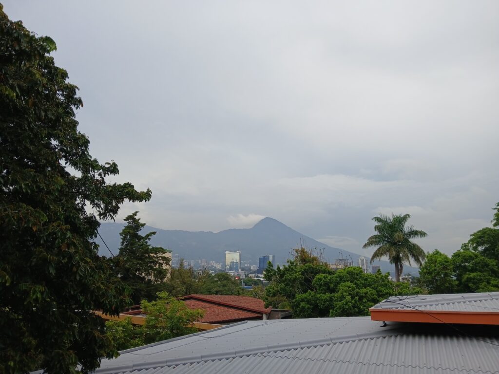 A view of a holl, trees and rooftops