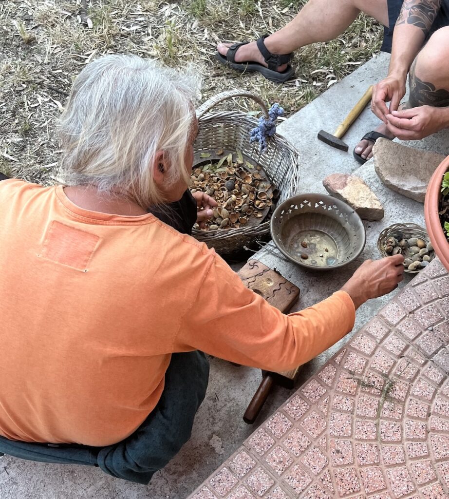 A gray-haired person handling walnuts