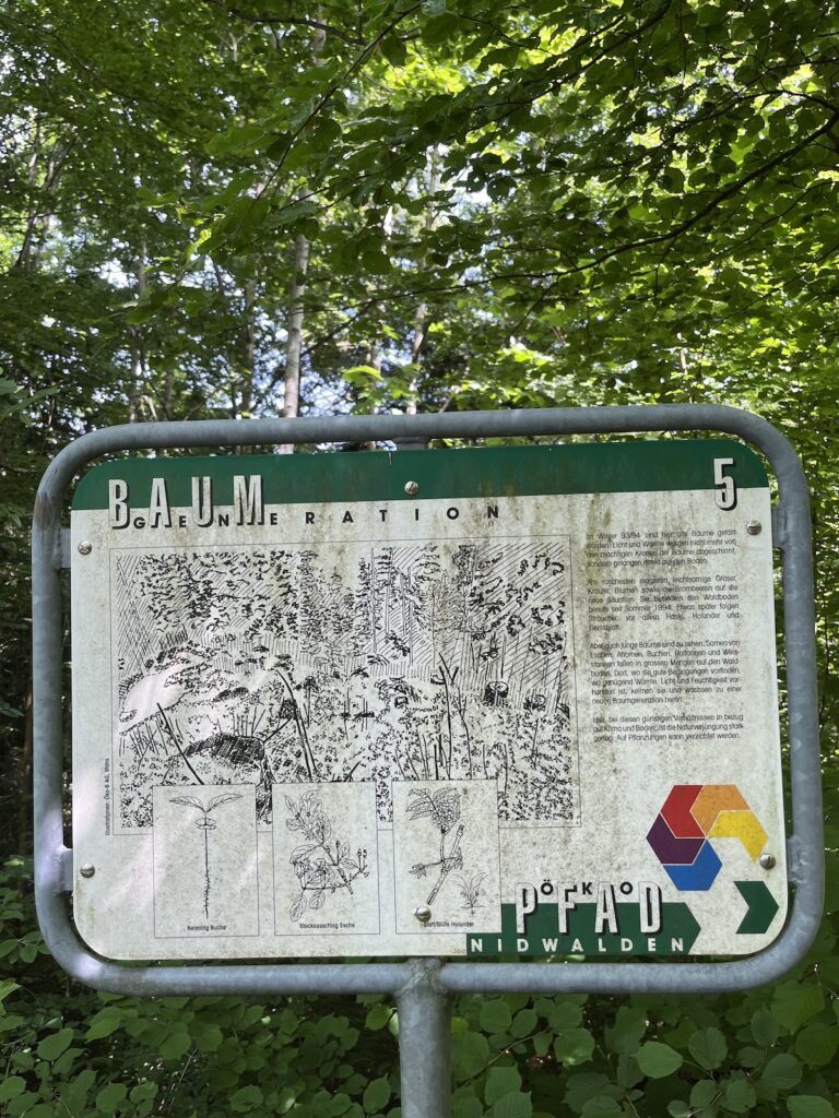 A plaque in the Swiss Alps