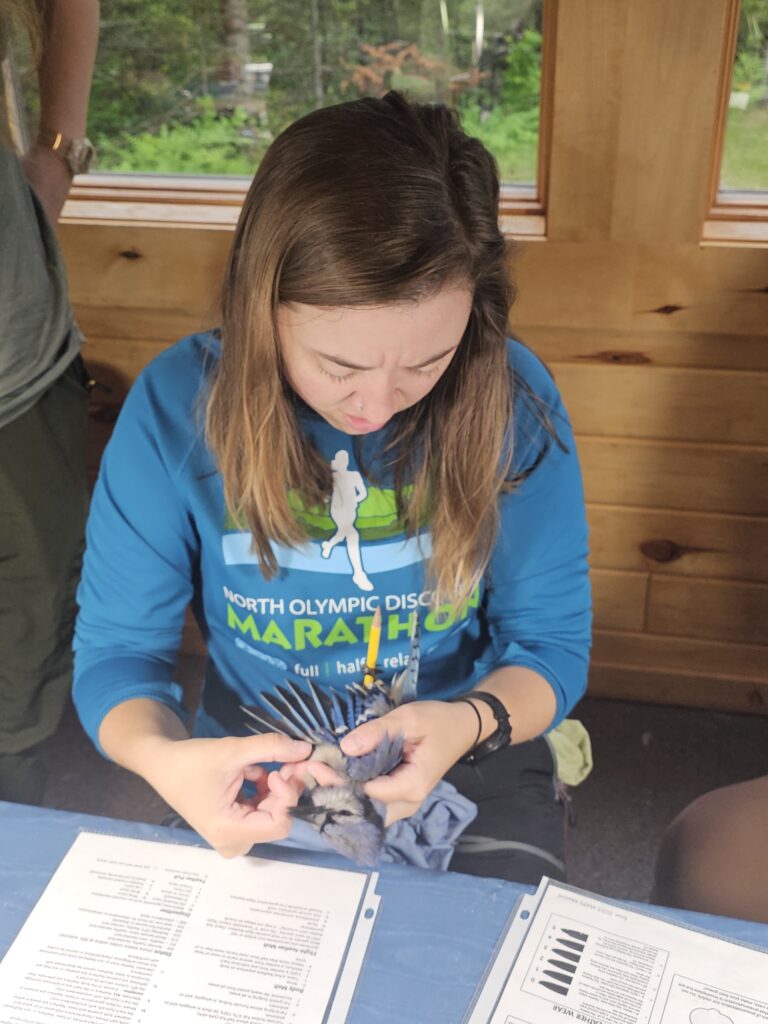 A woman holding a blue jay