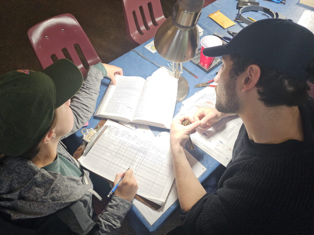 Two individuals looking at notebooks