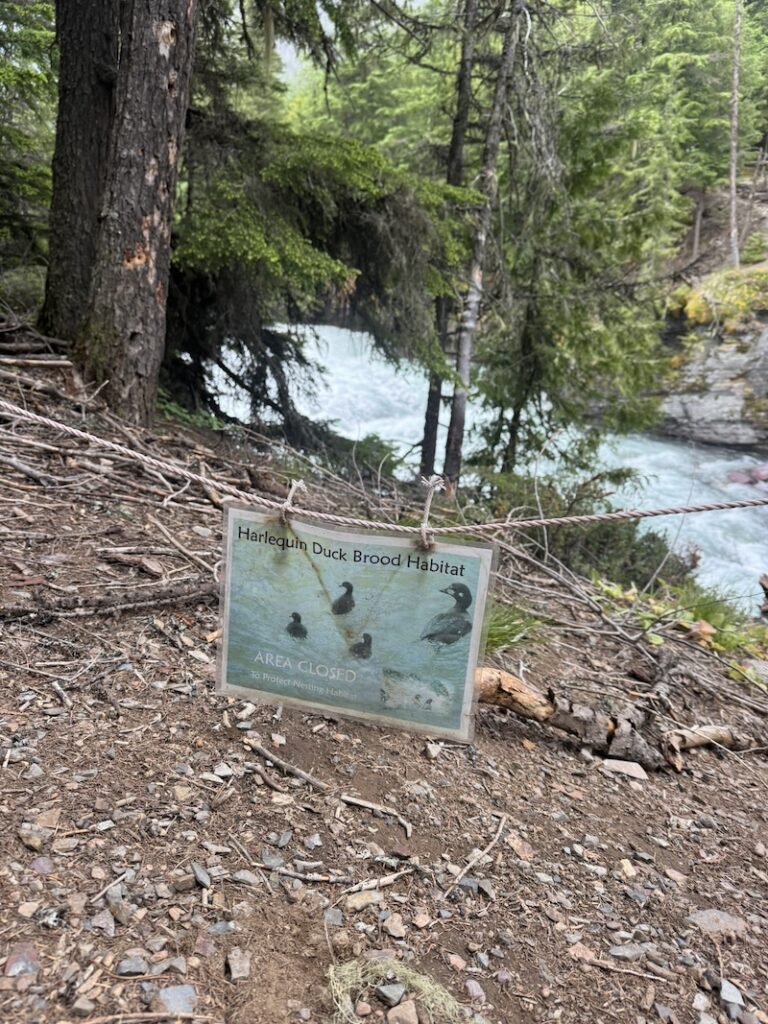 A sign beside a flowing stream