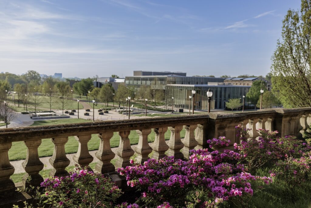 Overlooking Tisch Park