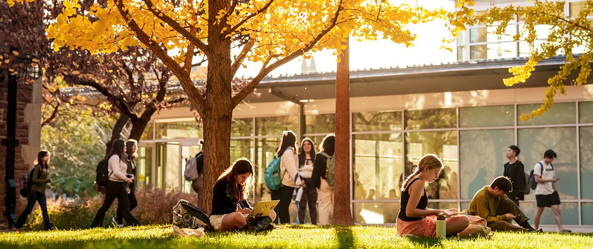 Students sitting and walking outside of Olin Library in the fall sunlight.