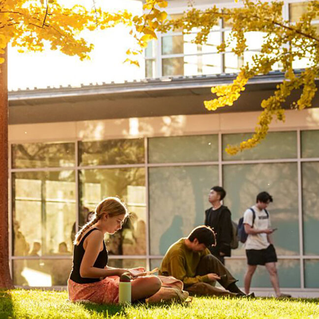 Students studying in the sun on the lawn outside of Olin Library on the WashU Danforth Campus.