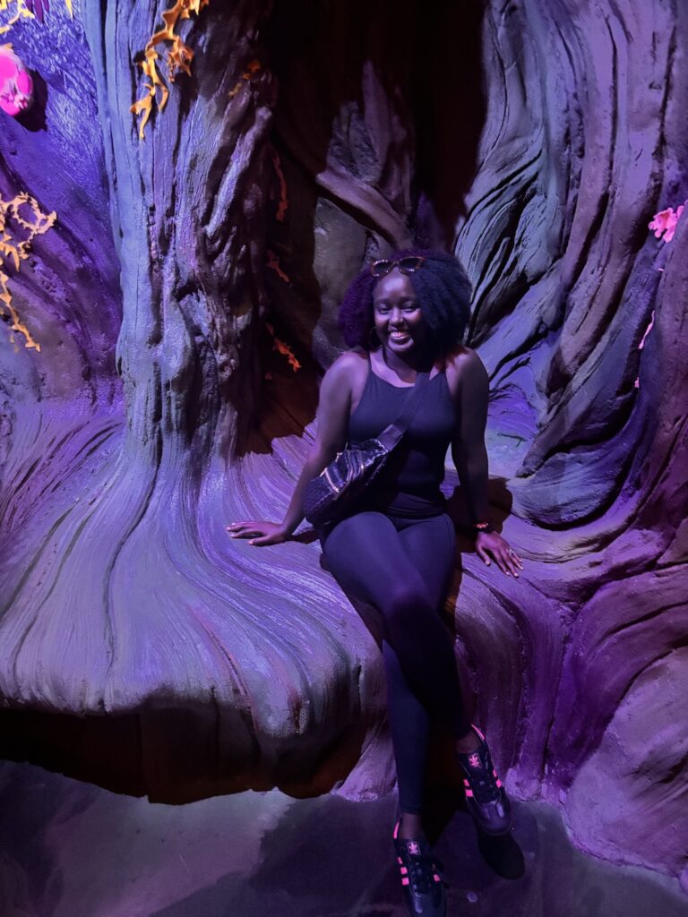 At Meow Wolf
