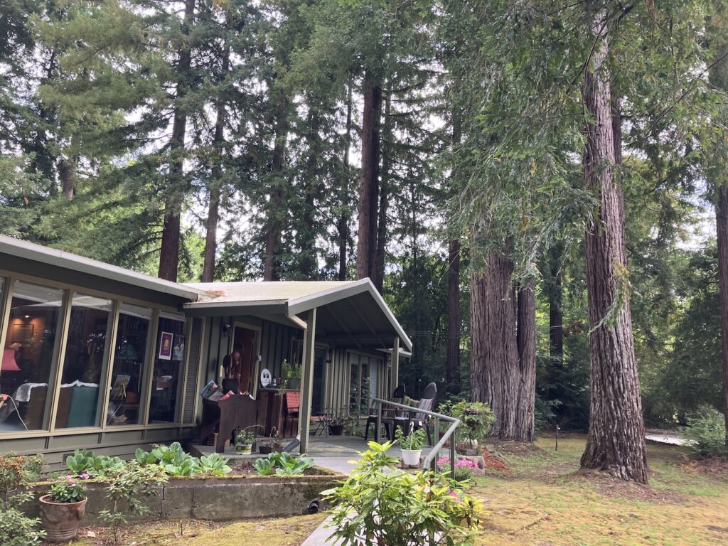 A short building surrounded by tall trees