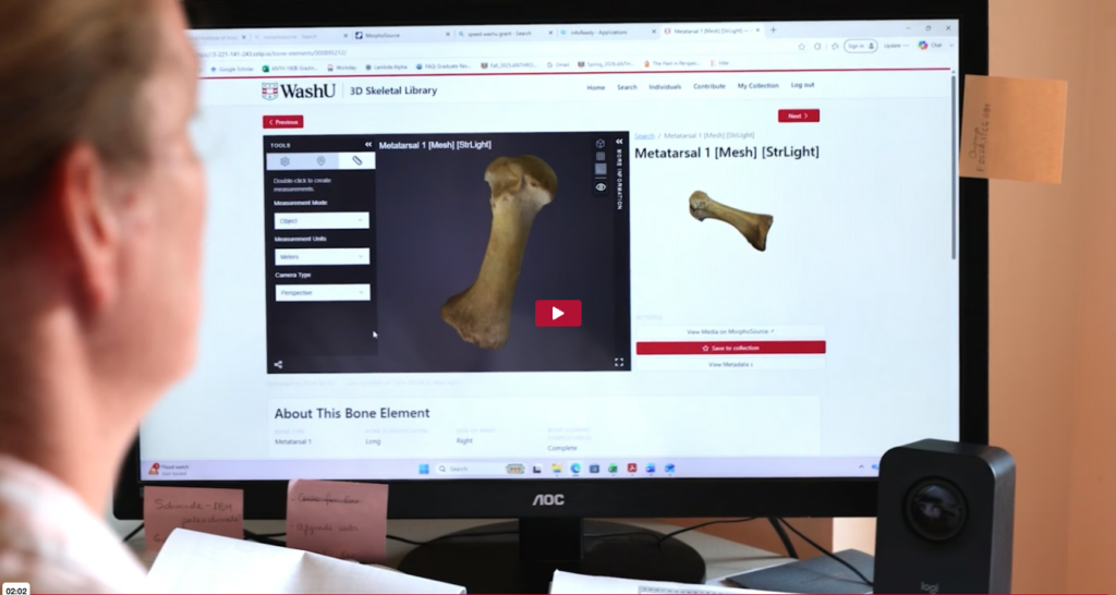 Looking at an image in a 3D Skeletal Library