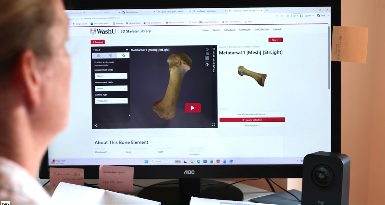 Looking at an image in a 3D Skeletal Library