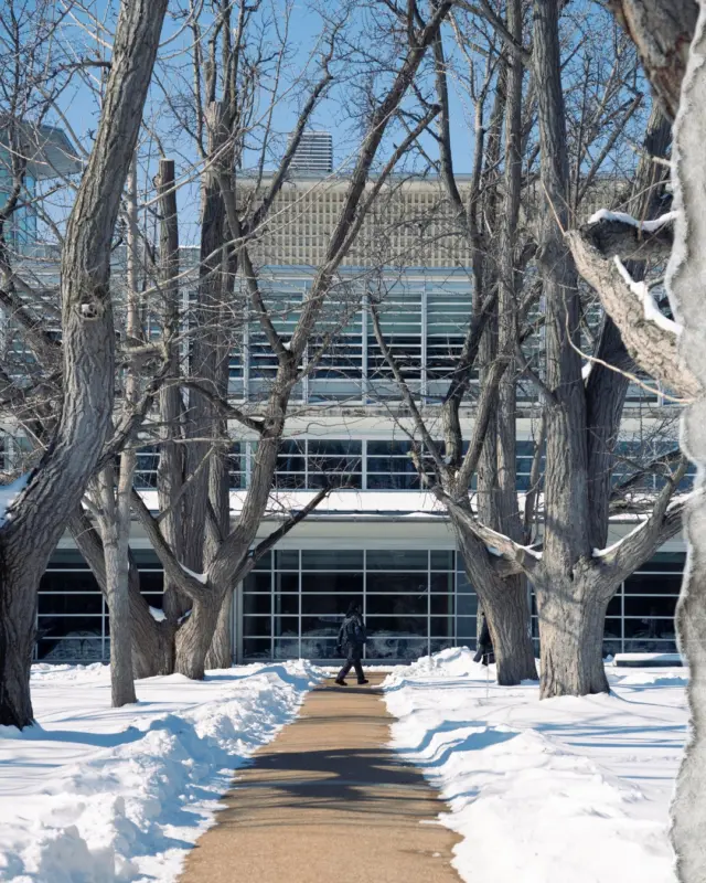 After the storm: calm spaces and open books. 🌨️📖